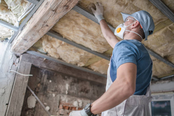 Best Insulation for Specific Applications in Elk River, MN