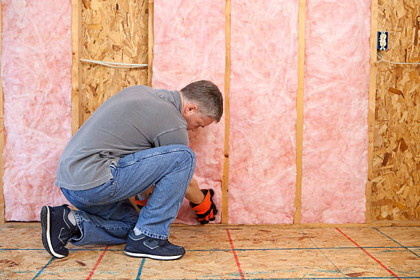 Best Types of Insulation in Elk River, MN